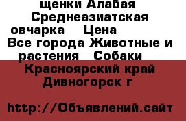 щенки Алабая (Среднеазиатская овчарка) › Цена ­ 15 000 - Все города Животные и растения » Собаки   . Красноярский край,Дивногорск г.